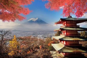 移民到日本可以享受哪些福利? 移民到日本可以享受哪些福利?
