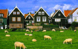 移民荷兰生活是怎样的一种体验？荷兰风土人情竟是这样！