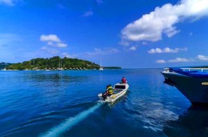 移民瓦努阿图的华人多不多，他们在当地生活习惯吗？