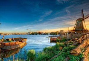 荷兰移民攻略：如何申请退还个人所得税？