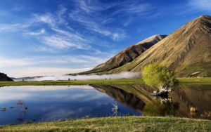 新西兰哪些类型的工作适合做创业移民呢？