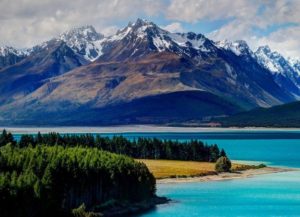 移民前攻略，新西兰文凭VS中国文凭