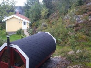 中国人如何去芬兰工作？都需要办理哪些证件和注意事项是什么？