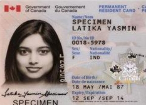 关于加拿大枫叶卡那些事儿