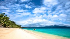 瓦努阿图移民生活之趣味小常识