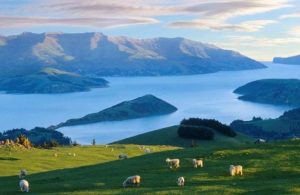 移民全攻略，新西兰说走就走