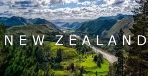 移民新西兰，这些需要购买的保险了解一下？