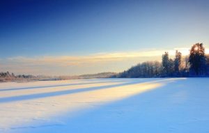 北欧生活图鉴|移民瑞典的正确打开方式