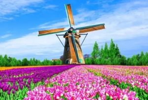 你想过什么样的生活，才会选择荷兰移民