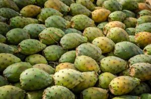 中国哪些水果在美国买不到？美国又有哪些水果中国没有？