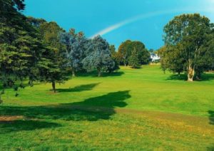 新西兰投资者签证的投资标准是什么？