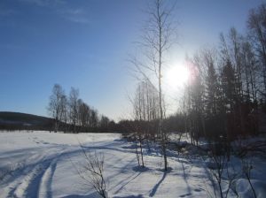 芬兰特色教育之护理专业_芬兰教育