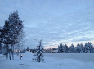 移民芬兰—高企的幸福指数_芬兰移民