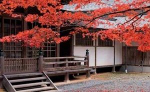 日本考试制度特点详情_日本考试