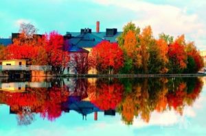 移民芬兰需要哪些条件呢？