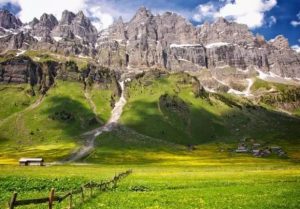 芬兰移民美的教育体系