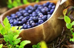 取材于自然的芬兰美食