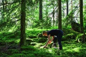 取材于自然的芬兰美食