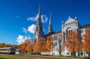 加拿大留学凸显新趋势 中国学生占加国际生三分之一