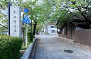 帮你去除偏见，带你了解日本