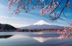 移民日本的理由