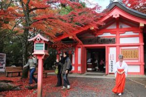魅力日本，简单移居