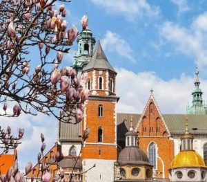 波兰移民都需要哪些条件？入境波兰的条件汇总！