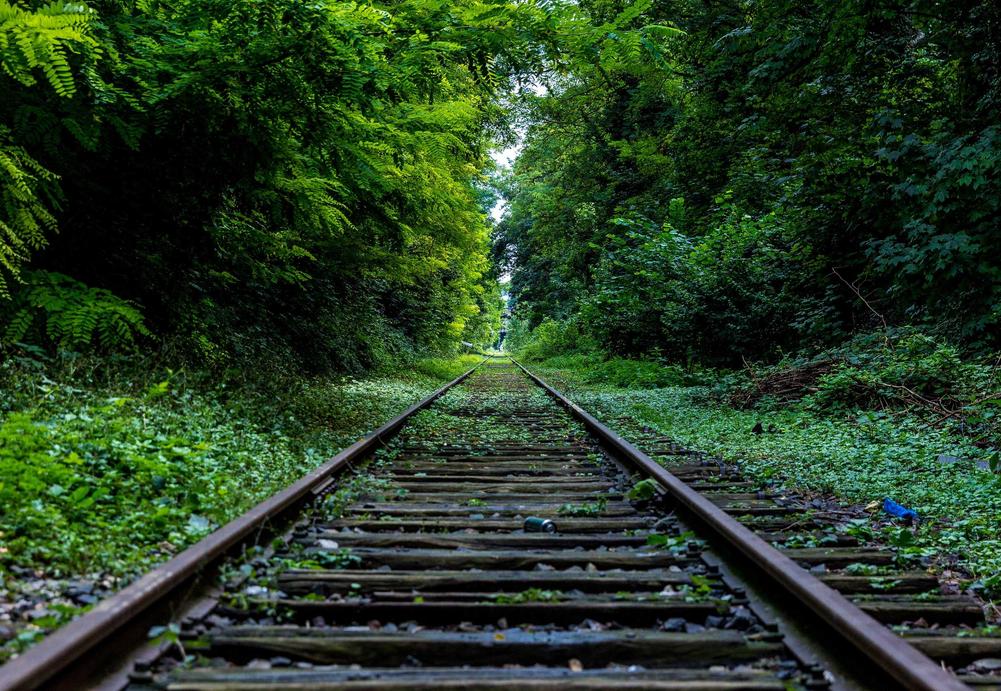 德国投资移民准备 20 万够不够